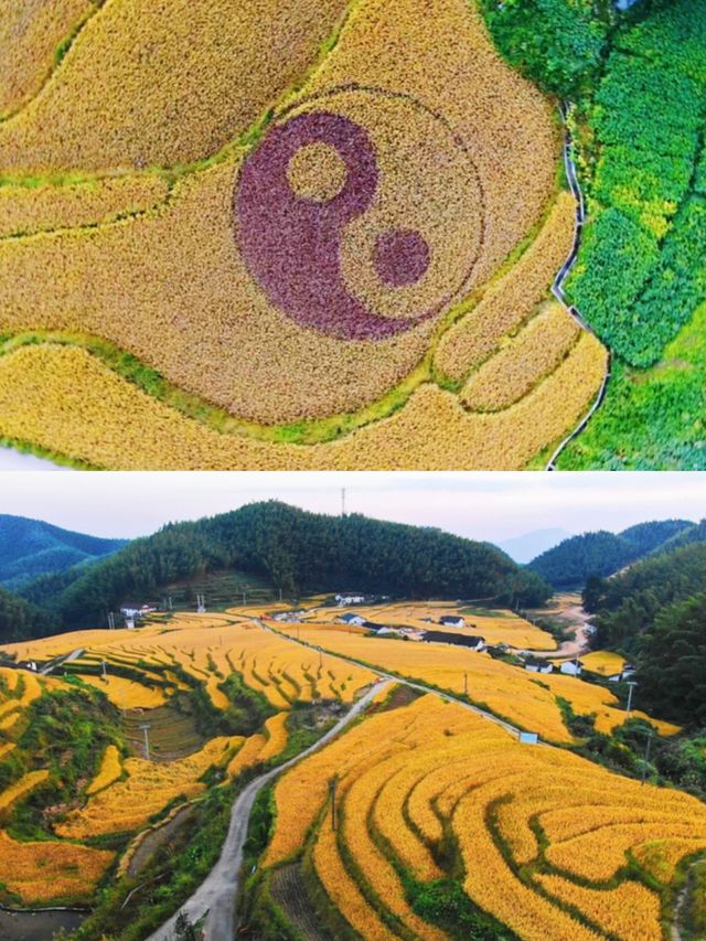 深山民宿 崇義上堡梯田隱藏的秘境