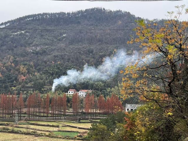 我的八山一水