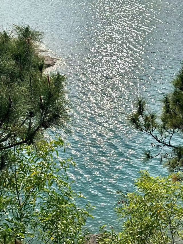 還以為去了國外的海島呢？‖金台寺！！