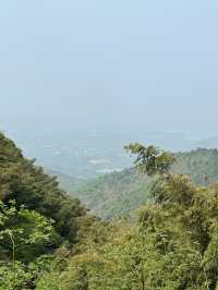4日玩轉武夷山超詳細攻略來啦