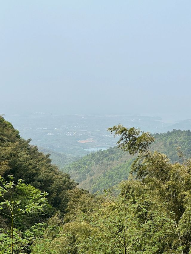4日玩轉武夷山超詳細攻略來啦