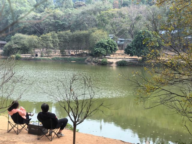 南國桃園｜分享佛山清幽午後好去處