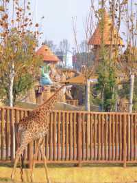 唯美動物園／大馬戲／溫泉 保姆攻略合集