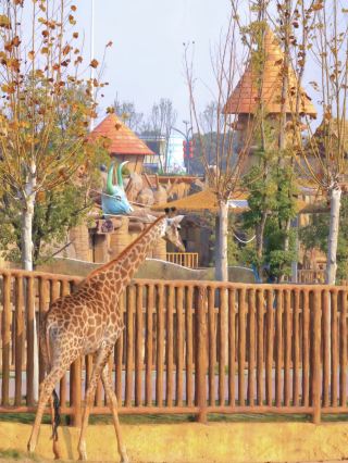 Weimei Zoo/Grand Circus/Hot Spring Nanny Guide Collection
