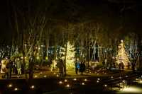 Experience the Magic of Christmas at Karuizawa Kogen Church