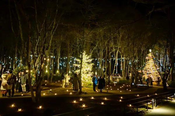 Experience the Magic of Christmas at Karuizawa Kogen Church