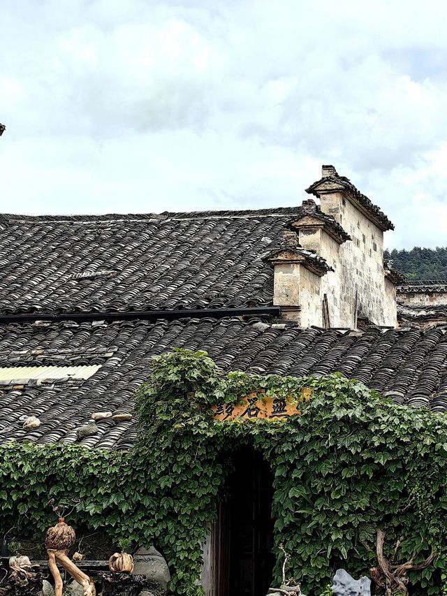 冬天要去安慶-黃山-杭州超詳細旅遊攻略來啦