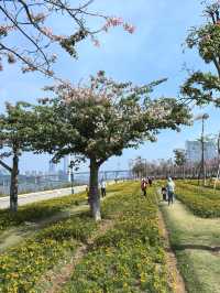 珠海花海長廊遛娃之旅