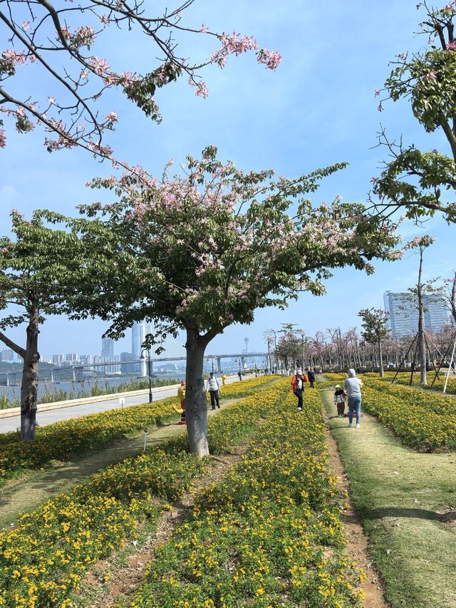 珠海花海長廊遛娃之旅