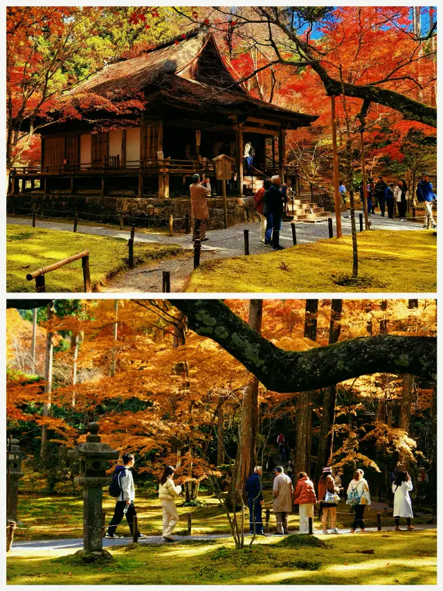Sanzen-in Temple, Kyoto | Experience the beauty of kimonos in a Japanese garden