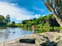 Auckland Botanic Gardens: A Scenic Escape