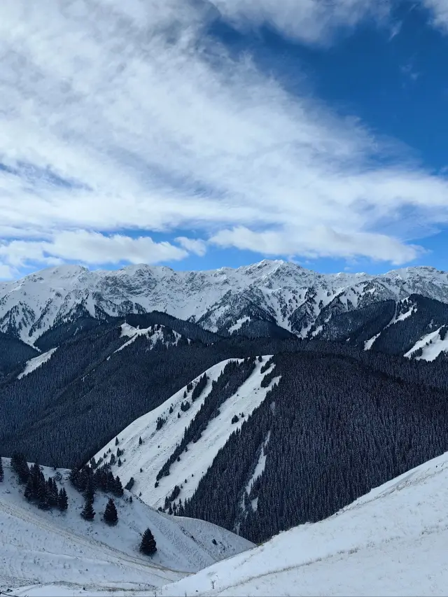 Winter Break Travel Guide for Seniors: Northern Xinjiang - Yili