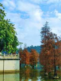 順峰山公園｜順德「新十景」之一