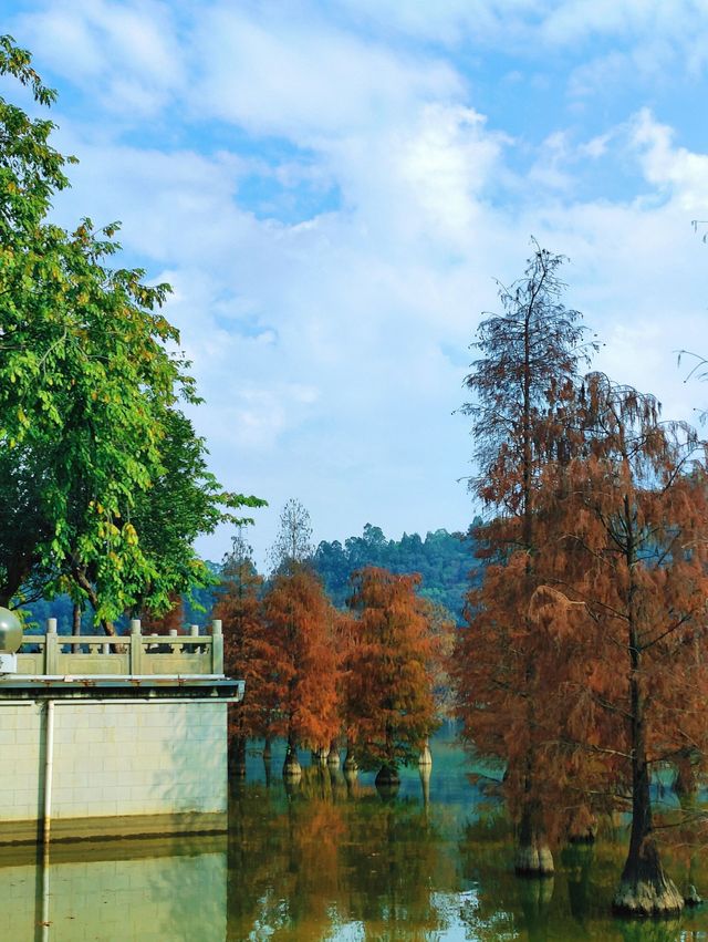 順峰山公園｜順德「新十景」之一