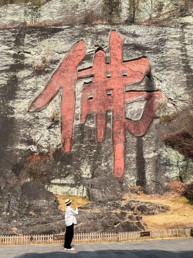 《九重紫》取景地，這個寶藏小城藏不住了