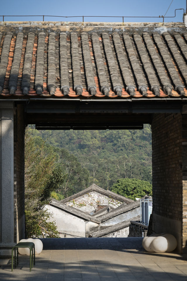 深圳人嘅後花園！邂逅大鵬地中海
