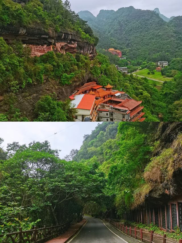 都橋山遊記：邂逅自然之美