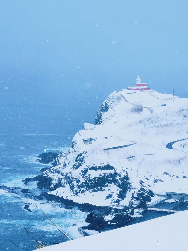 冬日小樽必打卡！祝津展望台的夢幻雪景