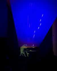 赴一場與坂本龍一的靈魂之約