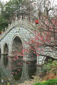 成都-浣花溪公園