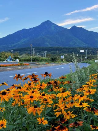 Japan Wakkanai Travel Guide | A Healing Journey to the Northern Secret Land