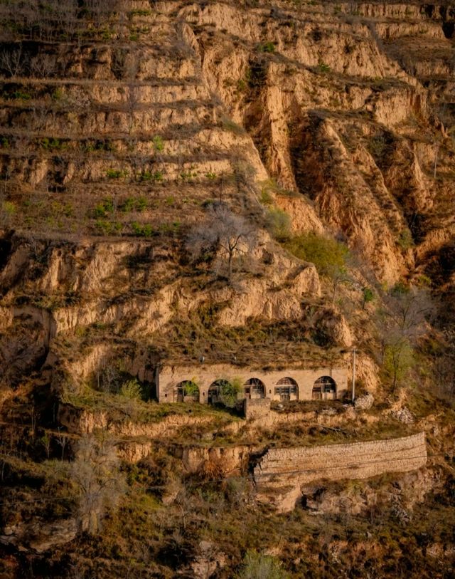 青磚黃土，山西唱歌陝西聽。