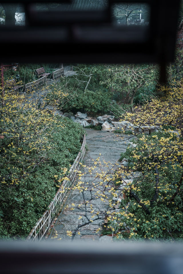 【上海青浦曲水園】雨中江南,絕美打卡地! 【上海青浦曲水園】雨中江南,絕美打卡地!