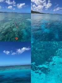 關島潛水：擁抱深海的藍色夢境