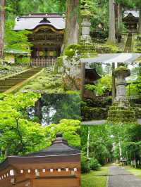 探秘福井：日本小眾旅行的夢幻之境