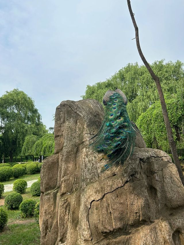 寒假遊美國 美景不可錯過