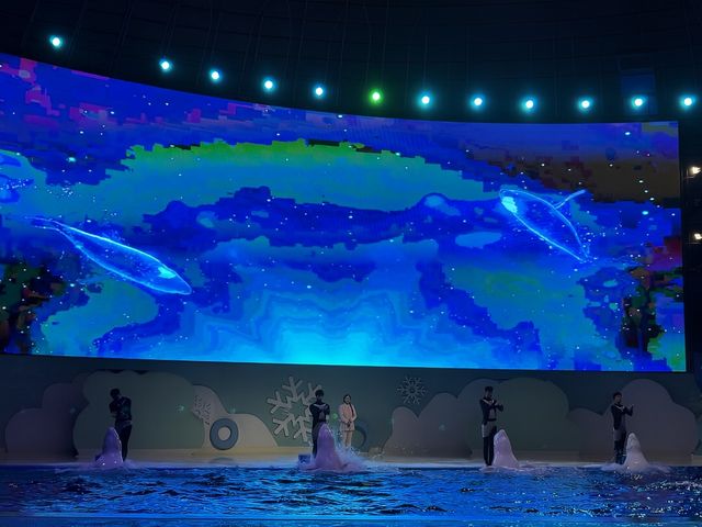 泉州歐樂堡海洋世界兩天一夜攻略