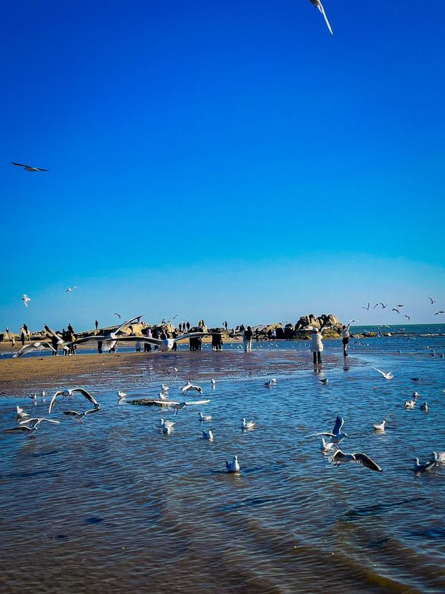 秦皇島半日遊