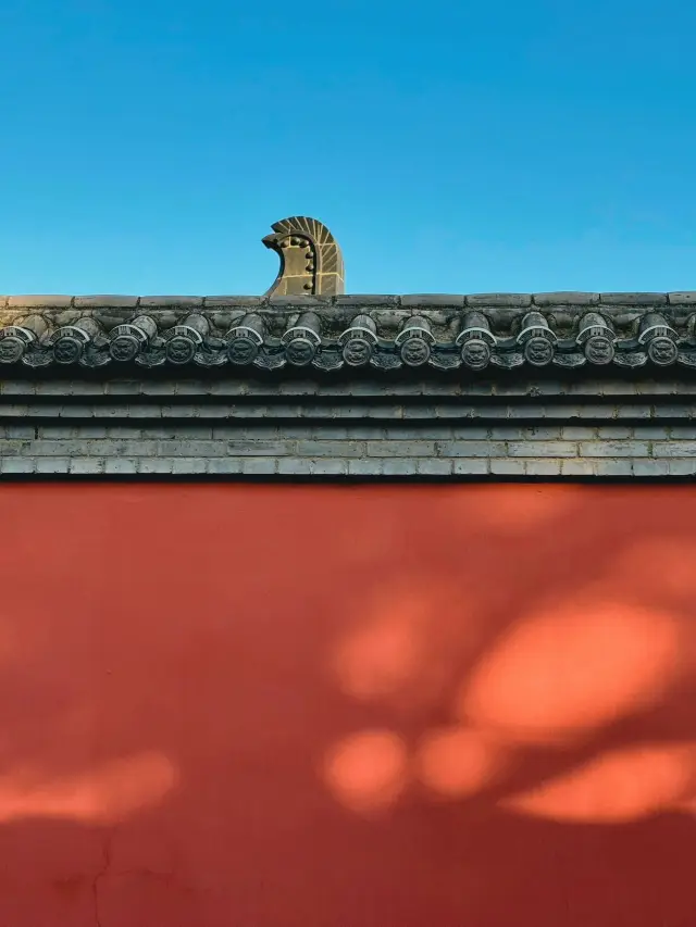 Xi'an, Baoji, and Xianyang in Winter—As Beautiful as a Movie. I Can't Help But Recommend It to You!