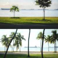 以為聖淘沙已經很美了，直到來了東海岸公園…