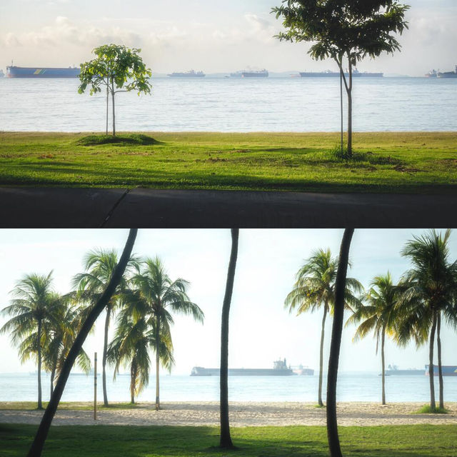以為聖淘沙已經很美了，直到來了東海岸公園…