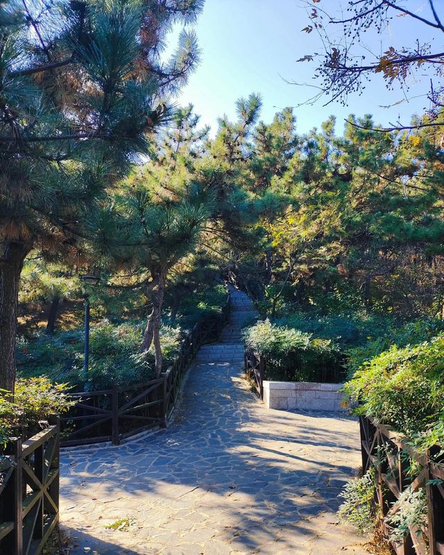 解鎖7.9公里綠道秘境，邂逅海天盛景 - 青島太平山
