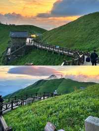 武功山 | 赴一場雲端之約，邂逅絕美高山草甸