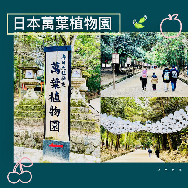 大阪周邊@萬葉植物園