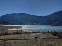 🇨🇳 Baisha: A Hidden Gem Near Lijiang 🏞️