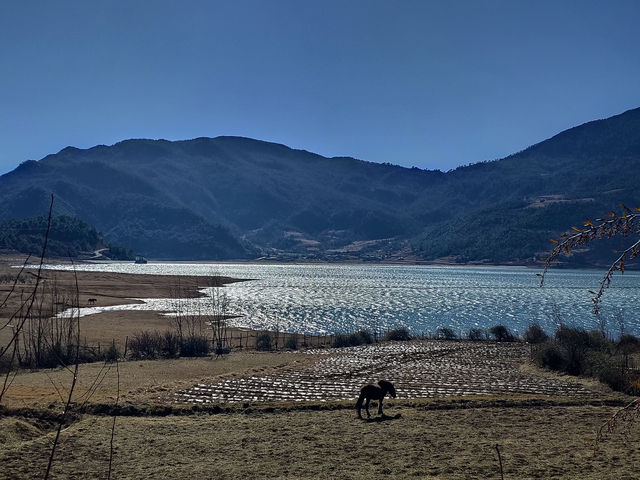 🇨🇳 Baisha: A Hidden Gem Near Lijiang 🏞️
