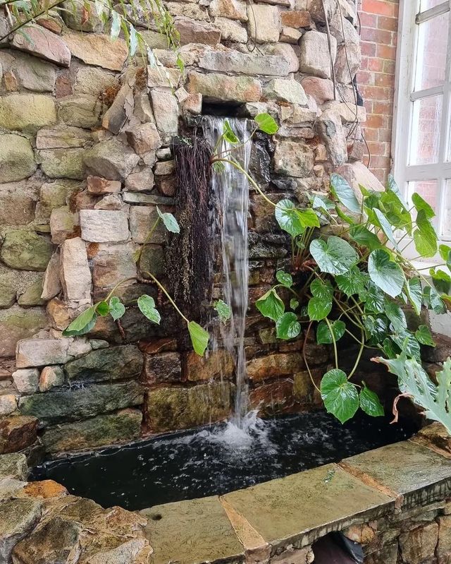 邂逅威廉姆森公園，解鎖蘭卡斯特的浪漫與寧靜