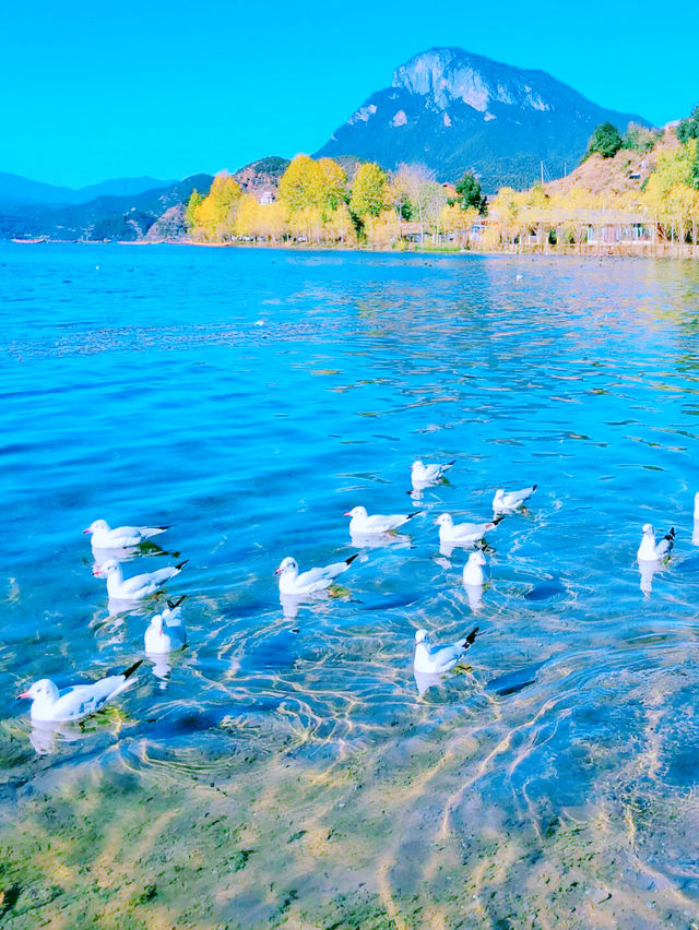 瀘沽湖的美，能否治癒你的疲憊