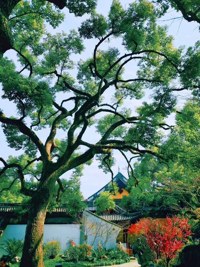 杭州淨慈禪寺超全攻略 祈福賞景兩不誤