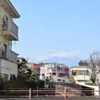 藏在日本海邊的小眾寶藏——沼津
