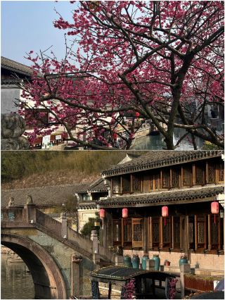 I just got back from Ningbo, and I have to say, March is not the best time to visit.