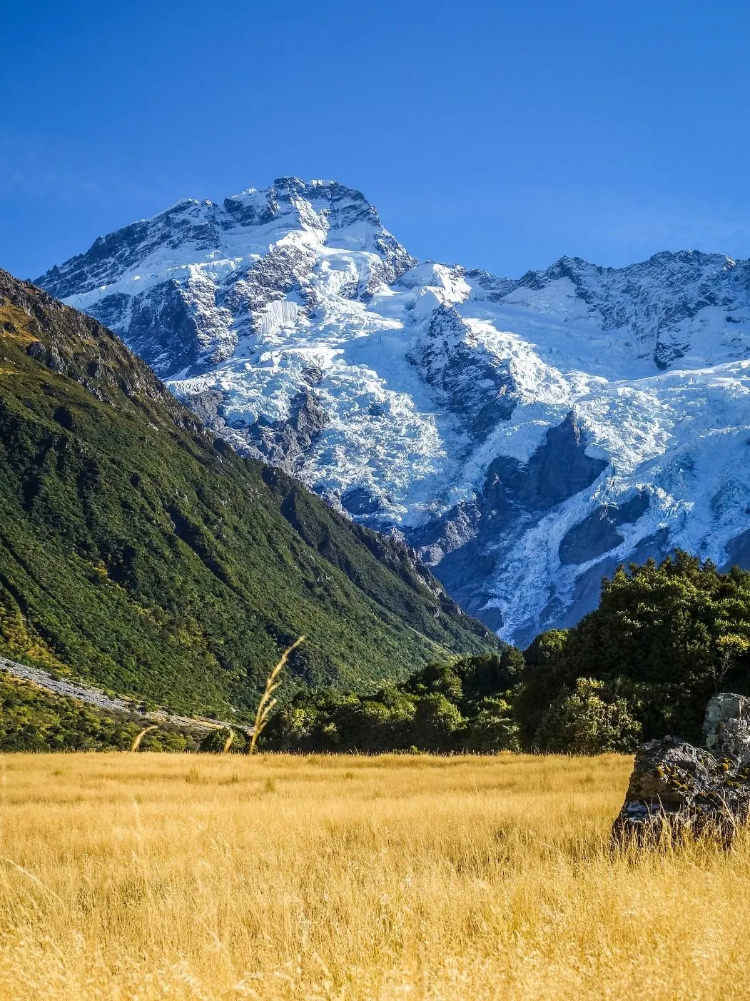 Tôi đã ở lại New Zealand 9 ngày vào mùa xuân và nó đẹp đến nỗi tôi không muốn về nhà