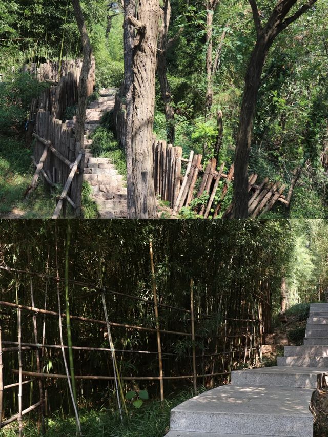 青島市區附近的小眾絕美遊山玩水推薦