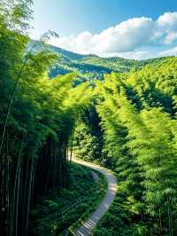 蜀南竹海藏着嘅神秘「綠密碼」，你能夠解開嗎？
