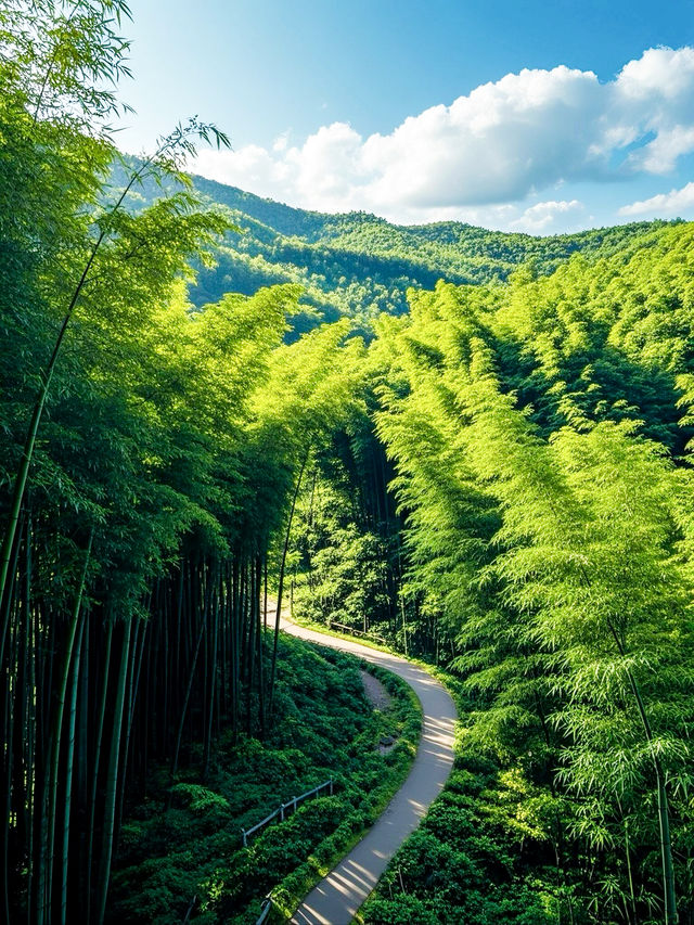 蜀南竹海藏着嘅神秘「綠密碼」，你能夠解開嗎？