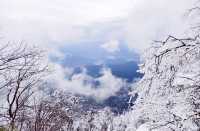 3.17瓦屋山今日實況，冇人了…